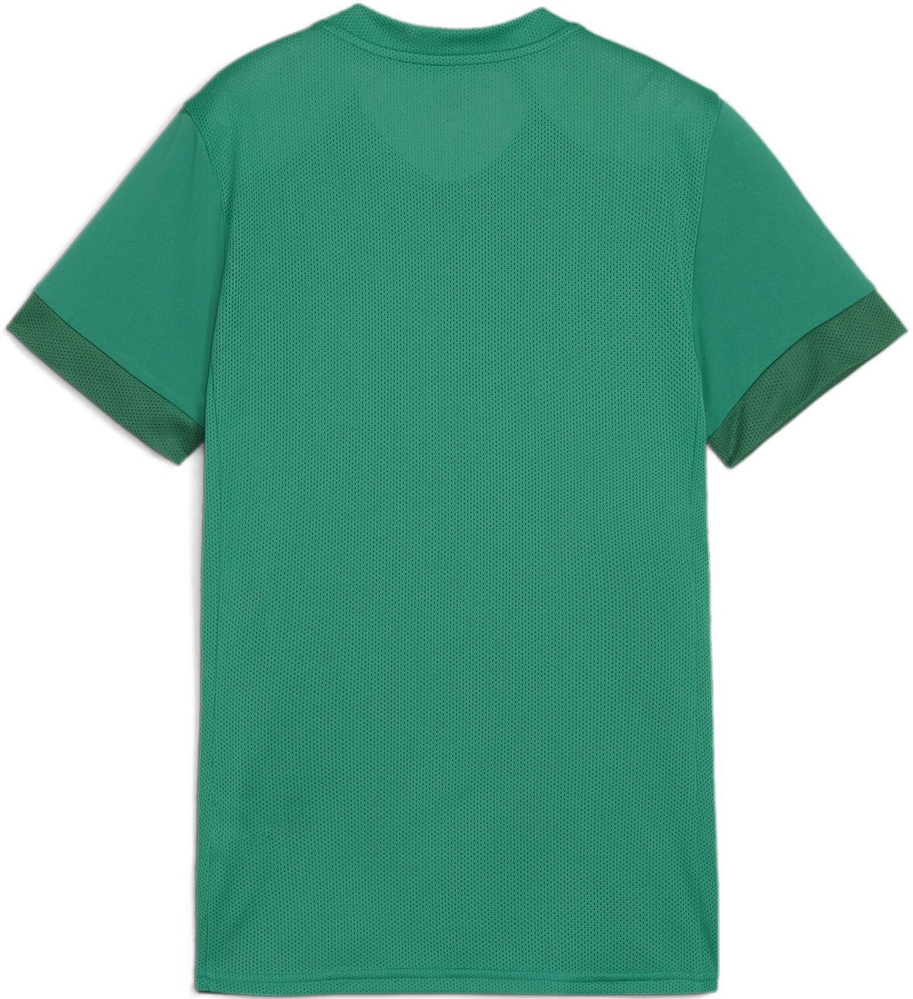 Dres Puma teamGOAL Matchday Jersey Wmns Zelena | 705749-05, 1