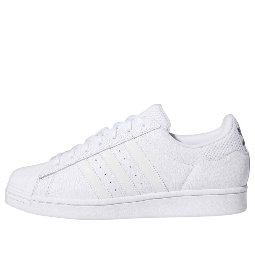 Superge in čevlji adidas Originals Superstar Adv x Vitoria Bela | JP5705