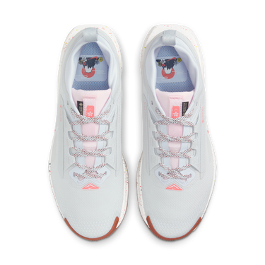 Superge in čevlji Nike Pegasus Trail 5 GORE-TEX Bela | FQ0912-007, 1