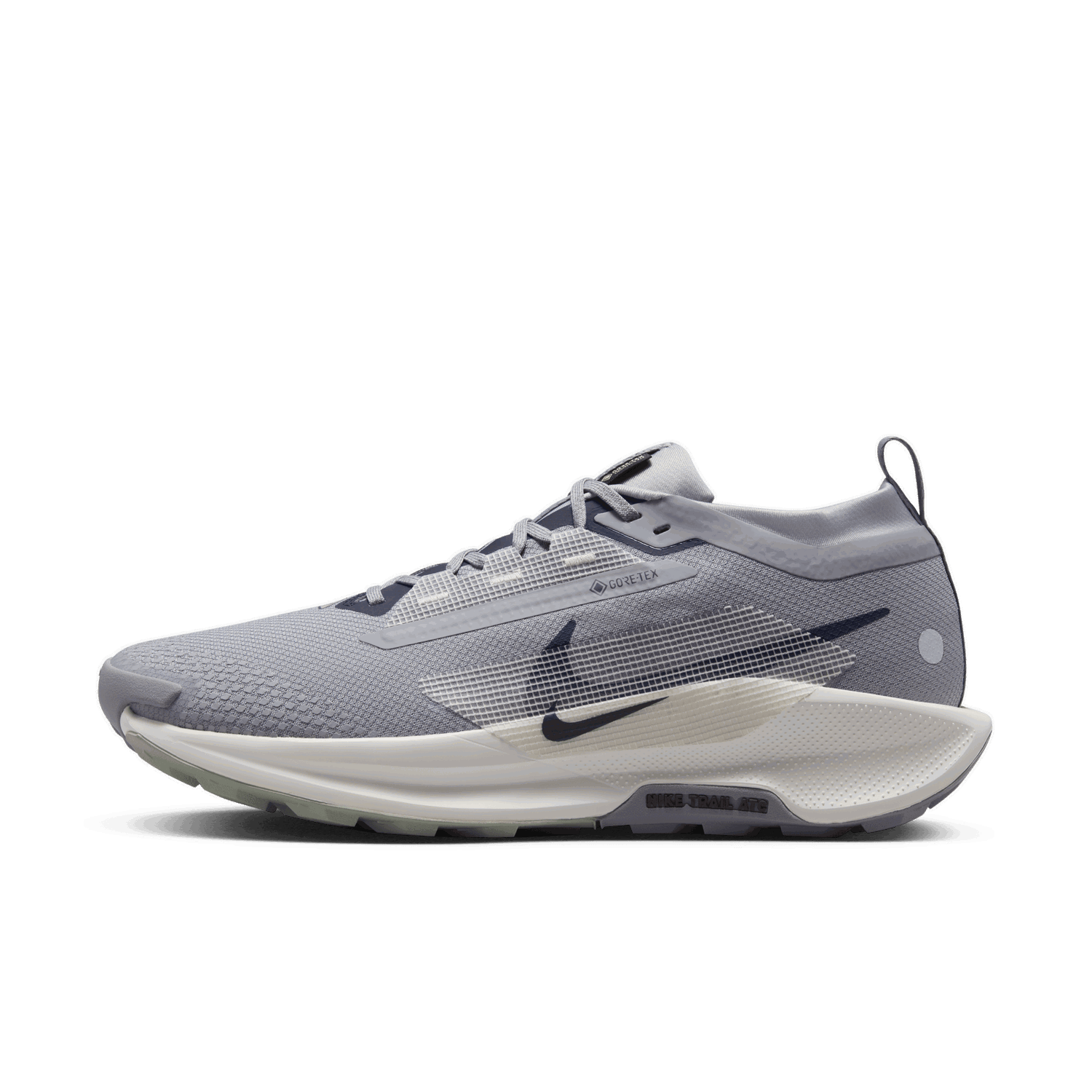 Superge in čevlji Nike Pegasus Trail 5 GORE-TEX Siva | FQ0908-006, 0
