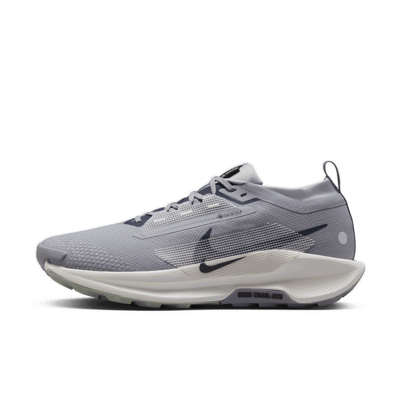 Tek Nike Pegasus Trail 5 GORE-TEX Siva | FQ0908-006