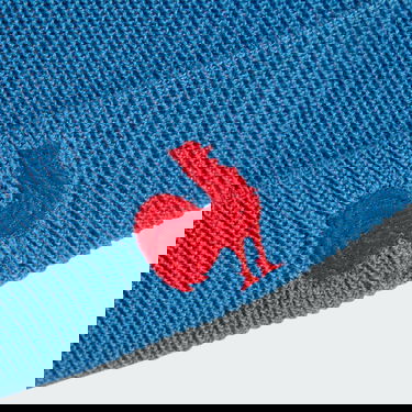 Beanie adidas Performance Fisherman Beanie Modra | JC8481, 1
