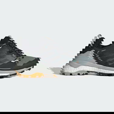 Superge in čevlji adidas Performance Terrex Skychaser GRTX Hiking 2.0 Siva | IE6893, 1