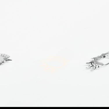 Uhani Wasted Paris Wasted Paris U Pike Earring Kovinski | WP_000307, 1