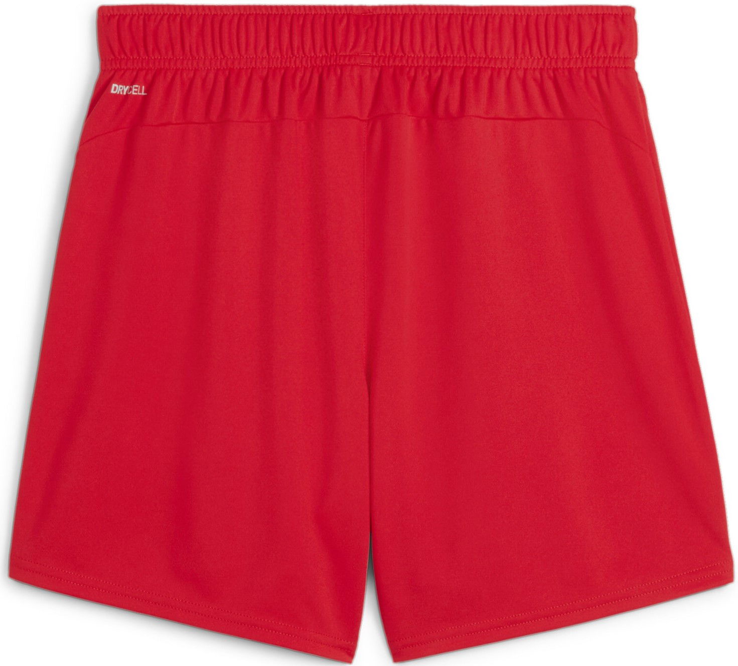 Kratke hlače Puma teamGOAL Shorts Wmns Rdeča | 705754-01, 1