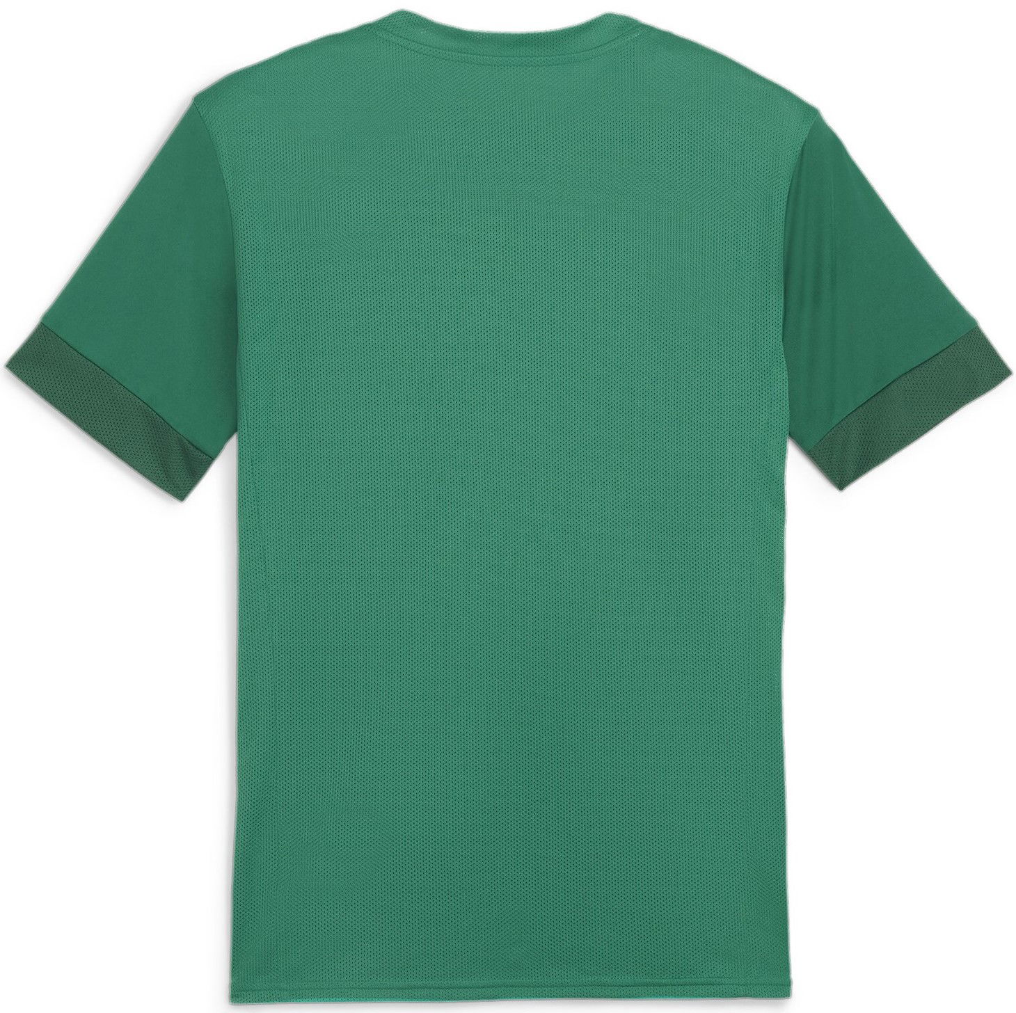Dres Puma teamGOAL Matchday Jersey Zelena | 705747-05, 1