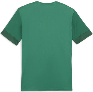 Dres Puma teamGOAL Matchday Jersey Zelena | 705747-05, 1