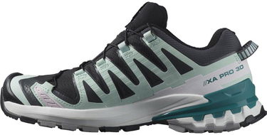 Superge in čevlji Salomon Xa Pro 3D V9 Gtx W Večbarvna | L47119100, 6