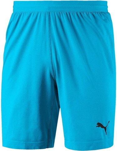 Kratke hlače Puma FINAL evoKNIT GK Shorts Turkizna | 70345508, 0
