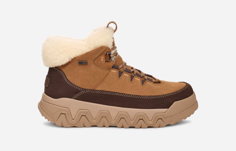 Superge in čevlji UGG TerreTrail Cozy Lace Boot Rjava | 1158210-CHE