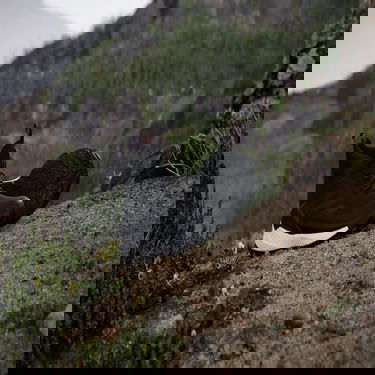 Superge in čevlji adidas Performance Terrex Free Hiker 2.0 Gore-Tex Črna | IH0670, 2