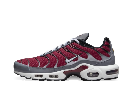 Lifestyle Nike Air Max Plus M Večbarvna | DQ3983-600