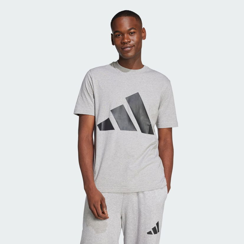 Majica adidas Performance Essentials Big Logo T-Shirt Siva | JE8948