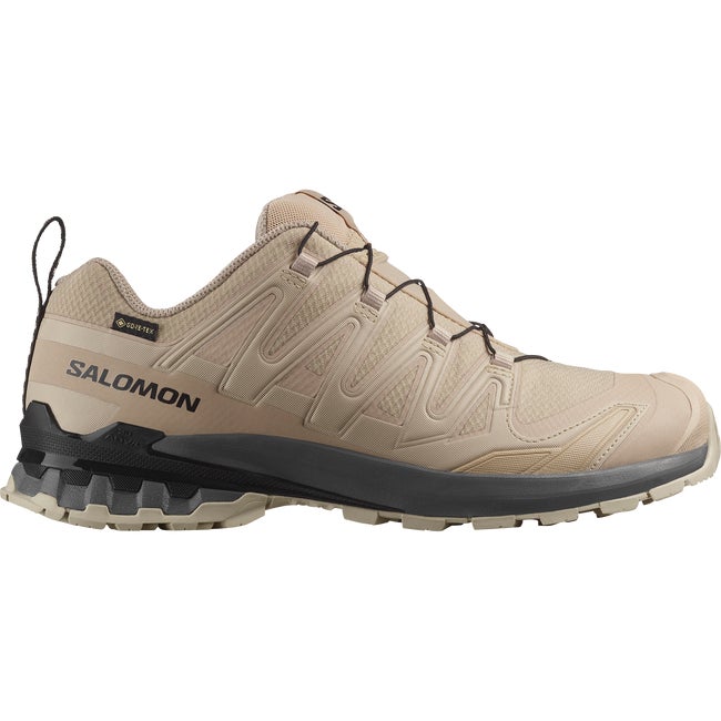 Superge in čevlji Salomon Xa Pro 3D v9 GTX Bež | L47882000