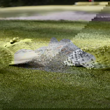 Oblačila adidas Performance Boty S2G BOA 24 Golf Bela | IF0320, 4