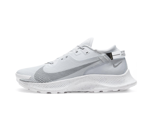 Tek Nike Pegasus Trail 2 GTX Siva | dc1933-100