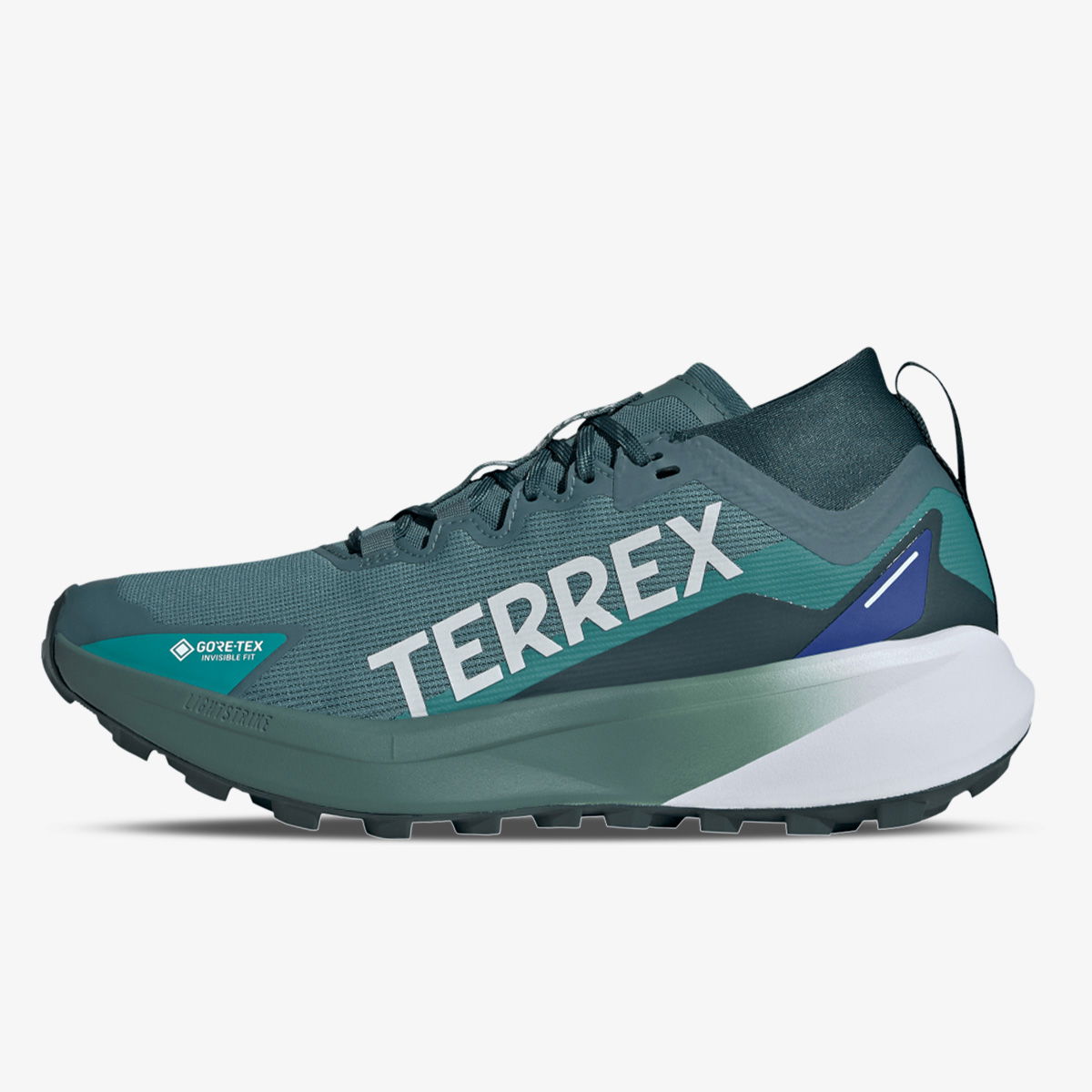 Superge in čevlji adidas Performance Terrex Agravic GTX Trail Running Zelena | JR5351, 1