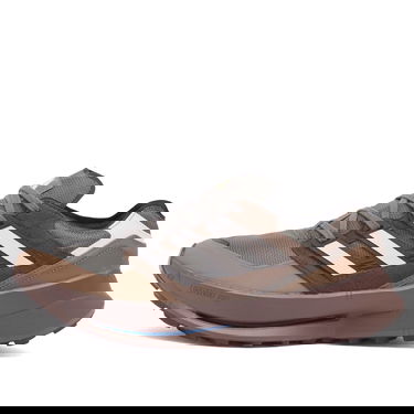 Superge in čevlji adidas Performance Terrex Agravic Rjava | JH6113, 0