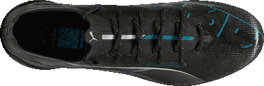 Superge in čevlji Puma ULTRA 5 ULTIMATE FG Črna | 108159-02, 9