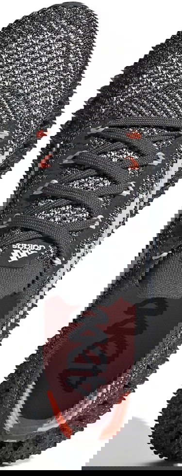 Superge in čevlji adidas Performance 4DFWD Siva | gx2972, 2