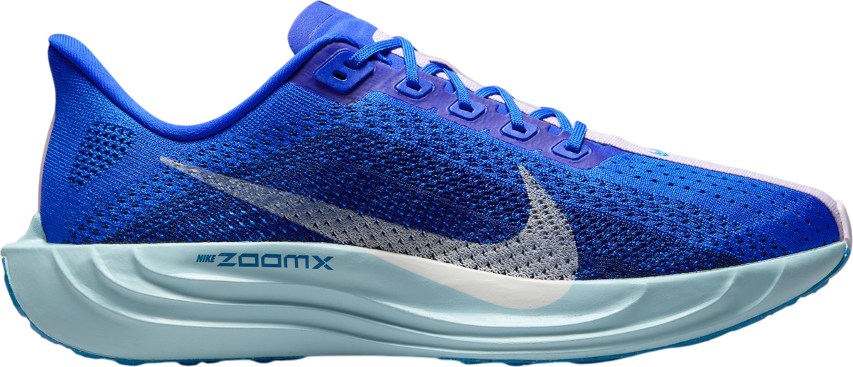 Superge in čevlji Nike Pegasus Plus Premium Modra | hq1719-400, 0