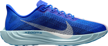 Superge in čevlji Nike Pegasus Plus Premium Modra | hq1719-400, 0