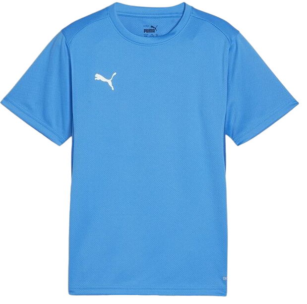 Majica Puma teamGOAL T-Shirt Turkizna | 658636-02