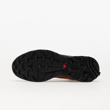 Superge in čevlji Salomon XT-6 Expanse Rjava | 417053, 4