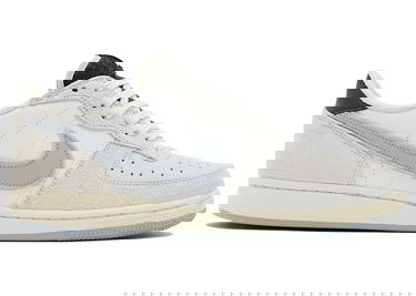 Superge in čevlji Nike Terminator Low "Liberté" Siva | FJ4207-001, 1