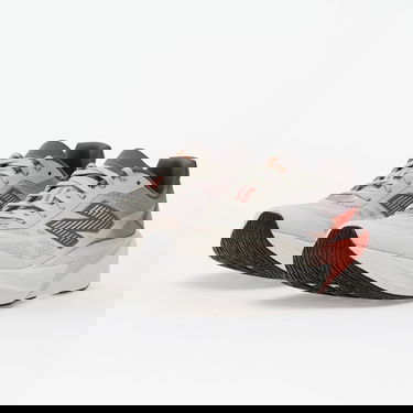 Superge in čevlji New Balance Fuelcell Rebel v5 Večbarvna | MFCXNY5, 5