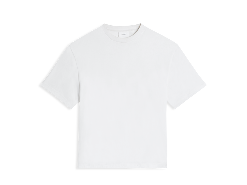 Majica AXEL ARIGATO Series Distressed T-Shirt Siva | A2199003