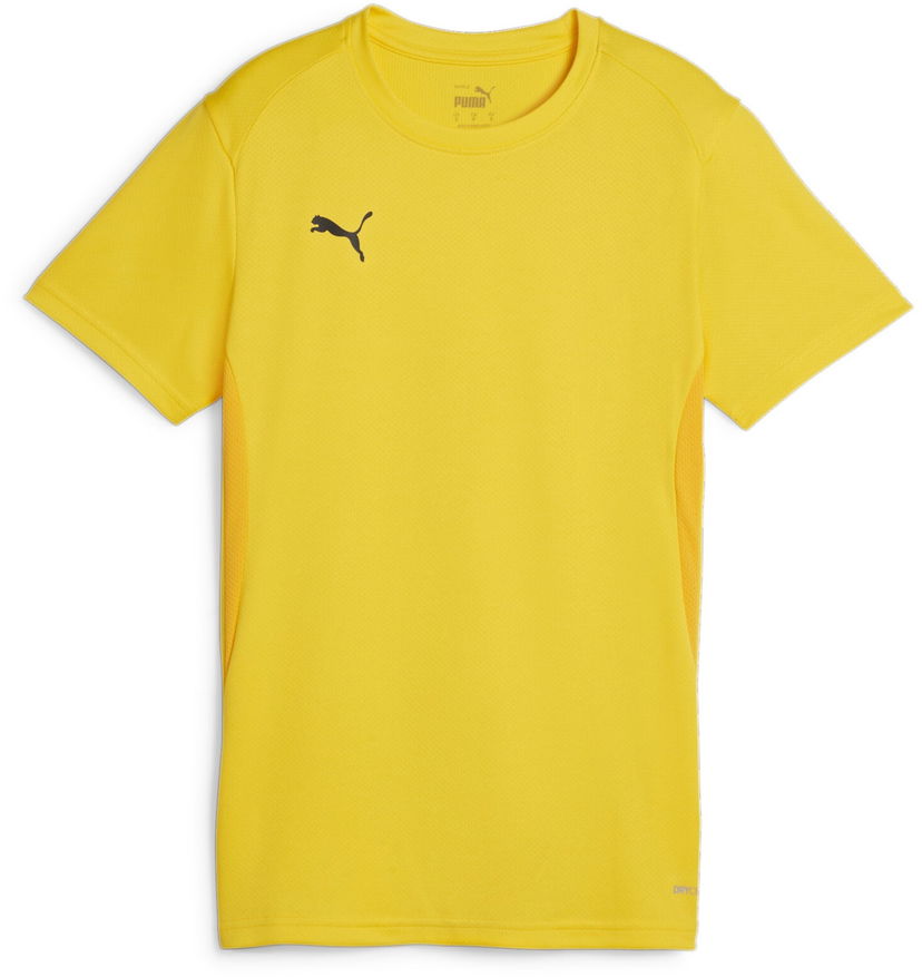 Dres Puma teamGOAL Jersey Rumena | 658638-07
