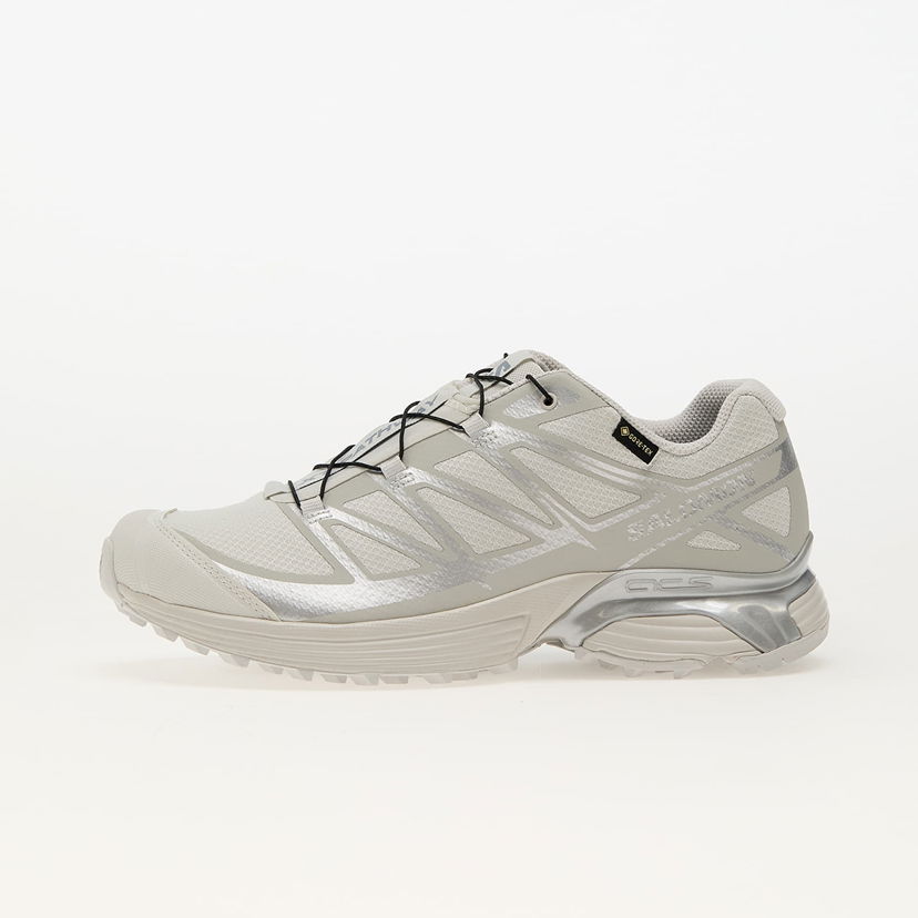 Superge in čevlji Salomon XT-Pathway GTX Bež | L47730900