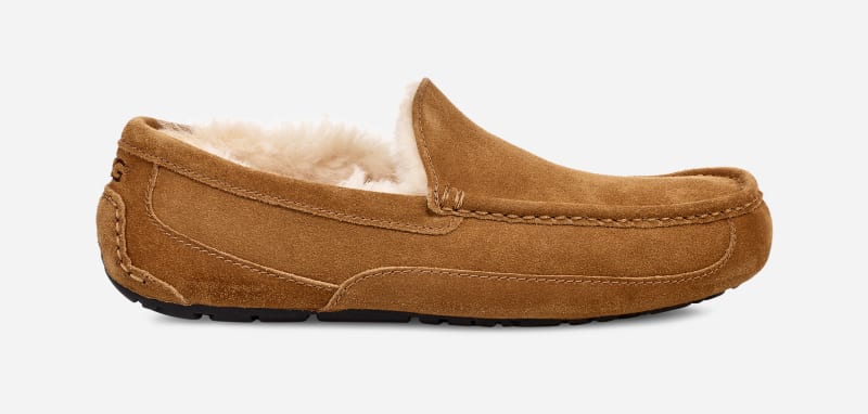 Superge in čevlji UGG ® Ascot Slipper in Brown, Size 10, Leather Rjava | 1101110W-CHE