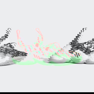 Superge in čevlji adidas Performance Trae Young 1 Večbarvna | GY0305, 0
