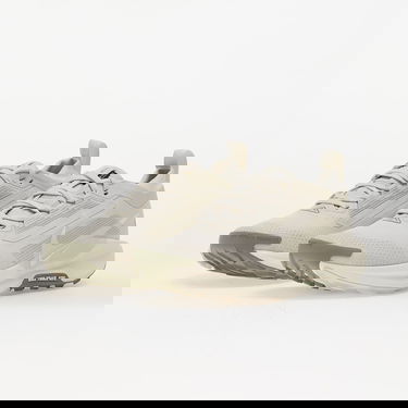 Superge in čevlji Nike Pegasus Trail 5 Gore-Tex Bež | FQ0912-006, 5