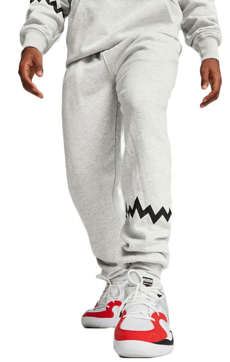 Trenirka Puma Hoops Team Sweat Pant Siva | 676649-03