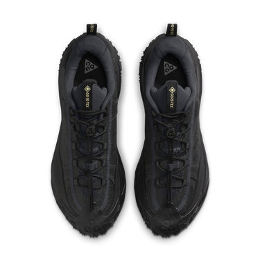 Superge in čevlji Nike ACG Mountain Fly 2 Low GORE-TEX Siva | HF6245-001, 2