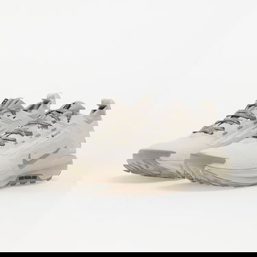Superge in čevlji Nike Pegasus Trail 5 Gore-Tex Bež | HQ7494-100, 5