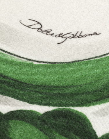 Home decor Dolce & Gabbana Dolce & Gabbana Silk And Wool Floral Scroll Blanket Zelena | TCE012TCAB6UV013, 2