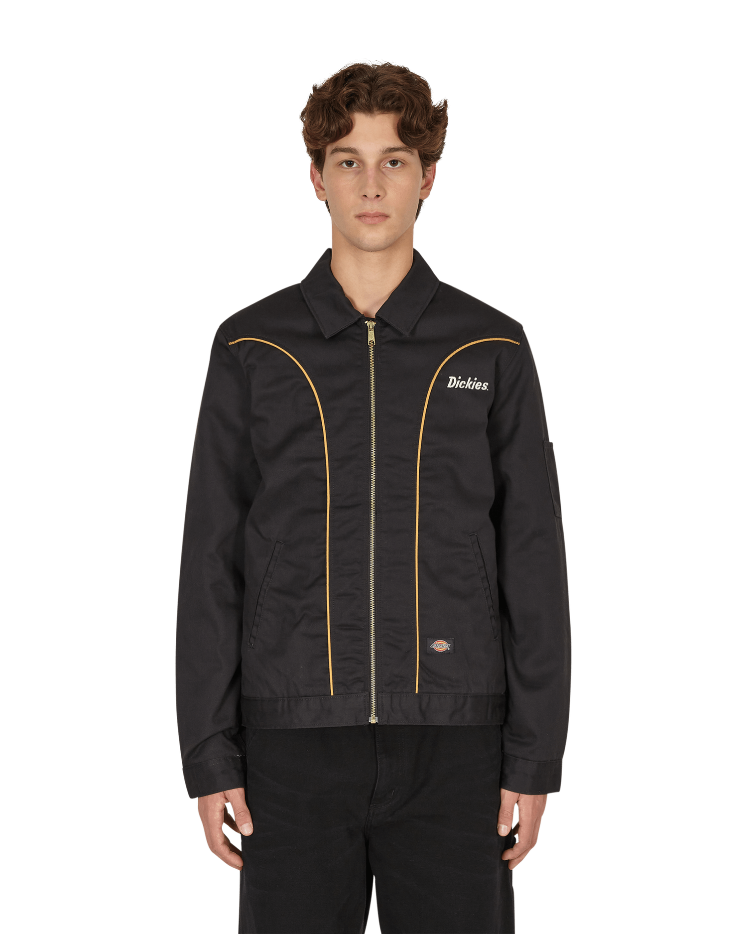 Jakna Dickies Bettles Jacket Črna | DK0A4XFV BLK1, 1