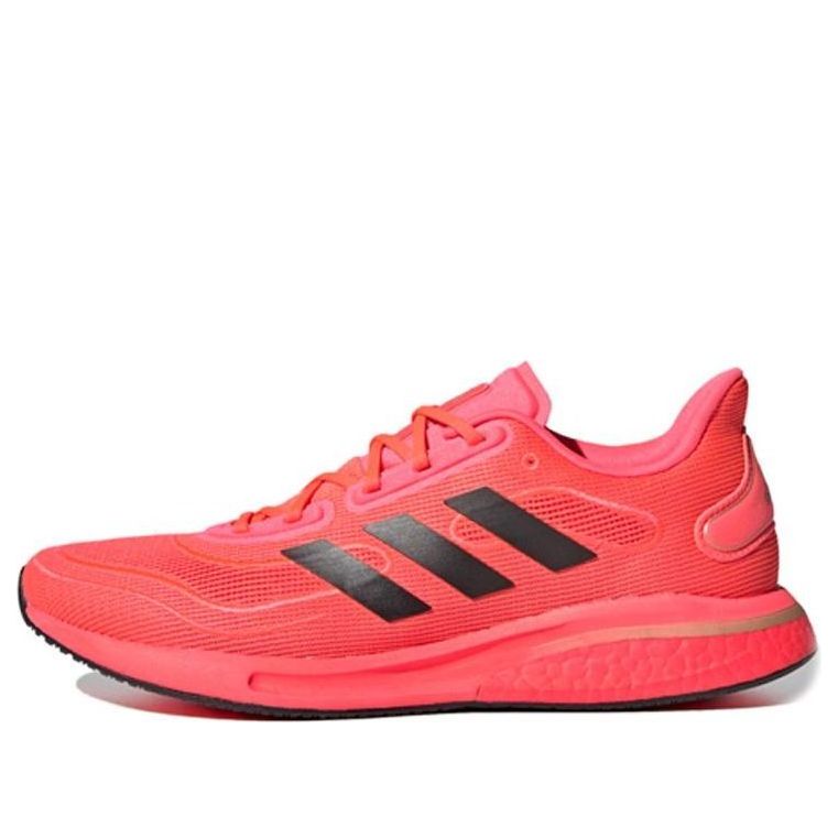 Superge in čevlji adidas Performance Supernova Rdeča | FV6032, 0