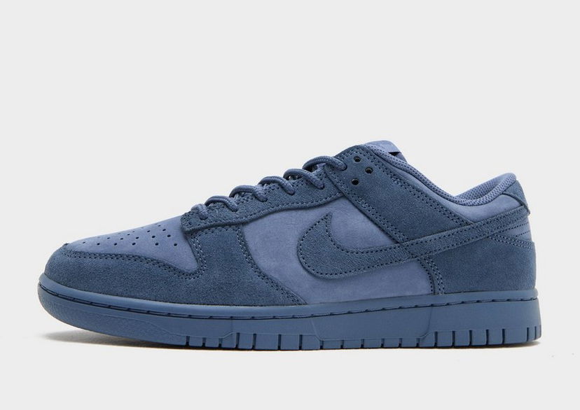 Superge in čevlji Nike Dunk Low Retro Se Nubuck Modra | IB6651-400