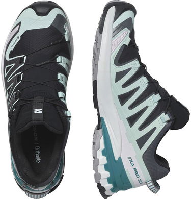 Superge in čevlji Salomon Xa Pro 3D V9 Gtx W Večbarvna | L47119100, 3