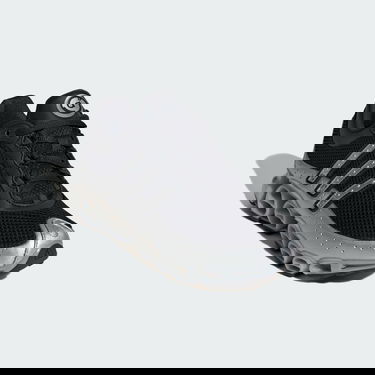 Superge in čevlji adidas Performance Megaride Črna | ID6601, 1