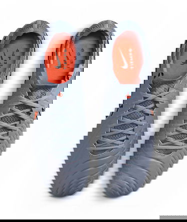 Superge in čevlji Nike LEGEND 10 ELITE FG Siva | dv4328-402, 9