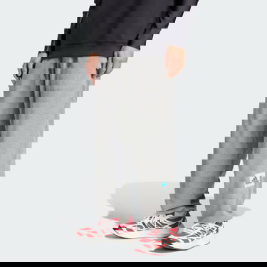 Trenirka adidas Performance EQT Reflective Pants Siva | JP0355, 0