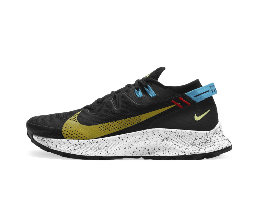Tek Nike Pegasus Trail 2 Črna | ck4305-001