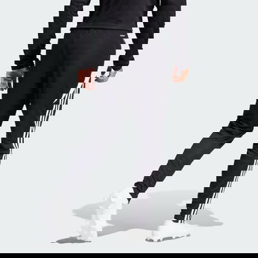 Hlače in kavbojke adidas Performance Tiro 24 Training Črna | IP1952, 2