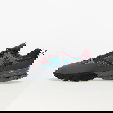 Superge in čevlji Reebok DMX Trail Shadow Classic Siva | IE2154, 0